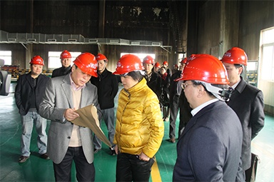 2012年1月31日，時任嘉興市委書記魯俊率領市發(fā)改委等市級部門負責人到公司調研